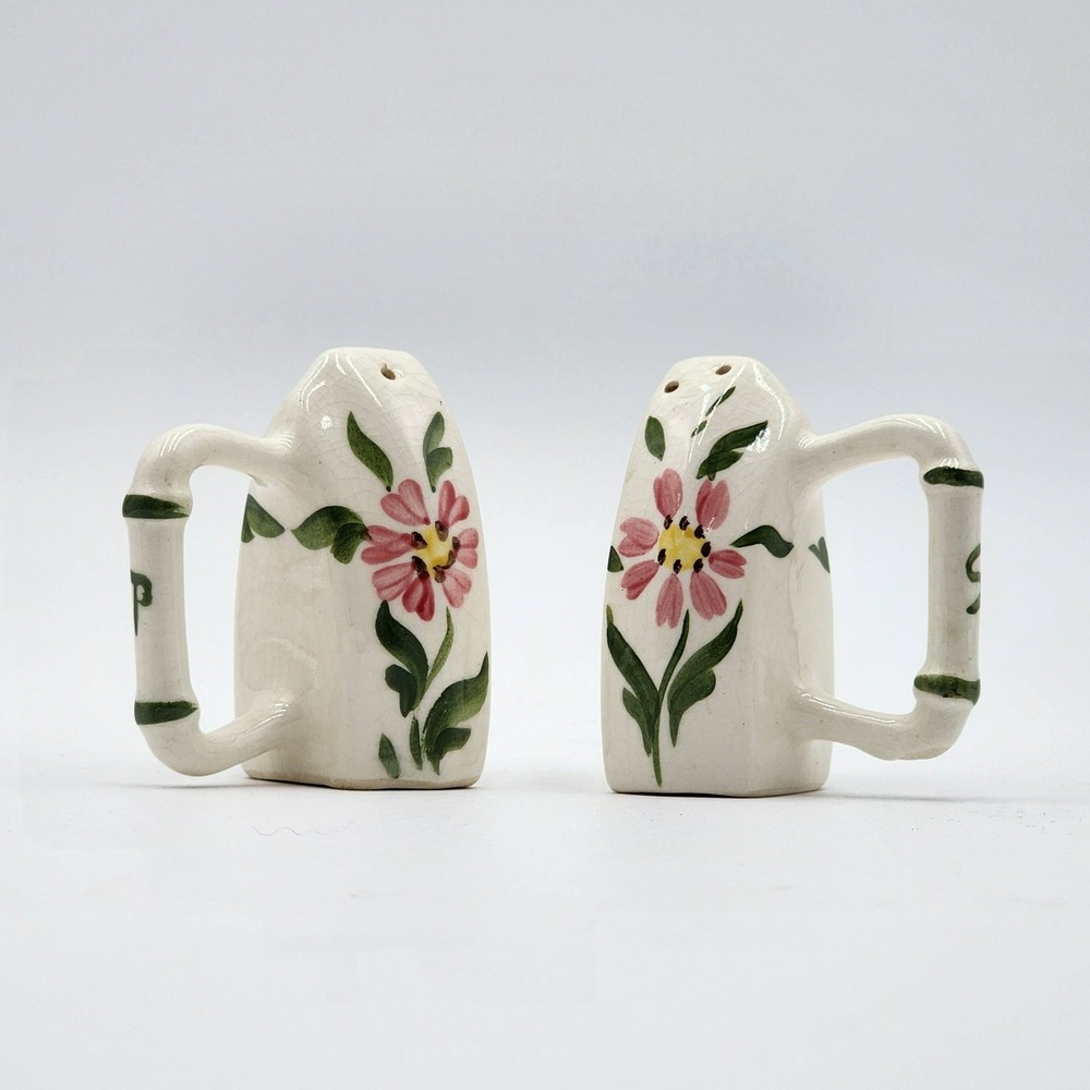 Vintage 50s Hand Painted Floral Ceramic Sad Iron Salt and Pepper Shakers Kitsch